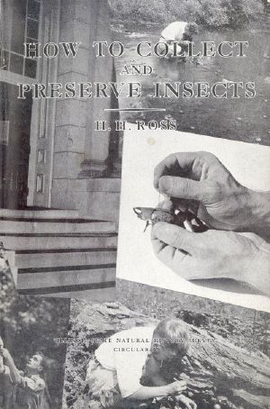 [Gutenberg 59883] • How to Collect and Preserve Insects